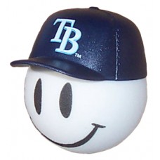 Tampa Bay Rays Baseball Car Antenna Topper / Auto Dashboard  Accessory (MLB)